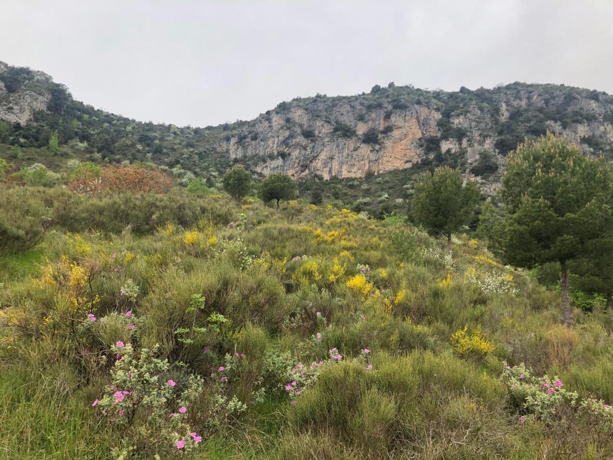 "Aux Balcons Du Riou" Avec Vue Mer 180 Degres Vence Exterior foto