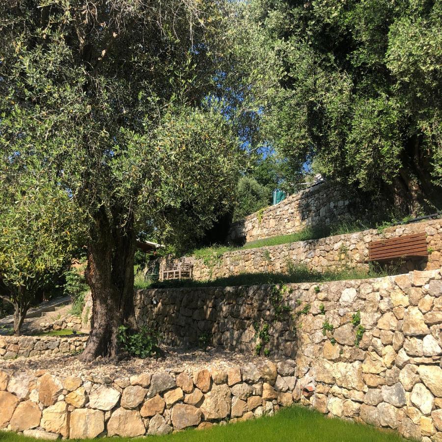 "Aux Balcons Du Riou" Avec Vue Mer 180 Degres Vence Exterior foto