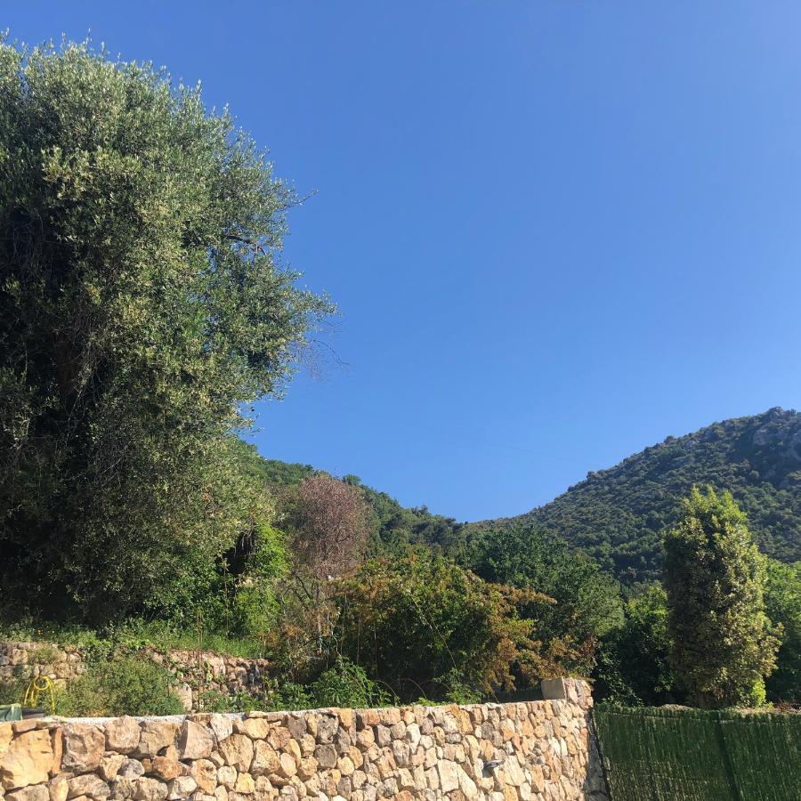 "Aux Balcons Du Riou" Avec Vue Mer 180 Degres Vence Exterior foto