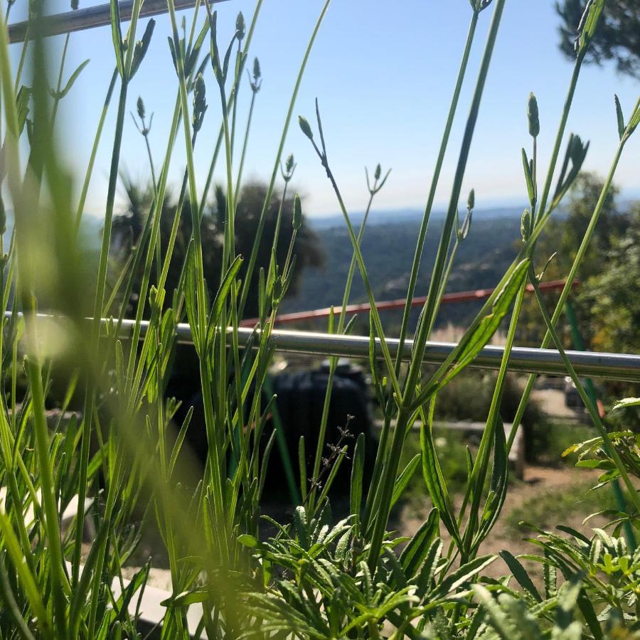 "Aux Balcons Du Riou" Avec Vue Mer 180 Degres Vence Exterior foto